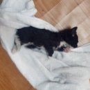 (주)뭉치 이미지