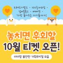 어린이뮤지컬-브레드 이발소 | 10월 티켓 오픈한 어린이 뮤지컬 총정리 🎫 브레드이발소·100층짜리집·넘버블록스·베베핀까지