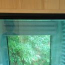 더푸른풀빌라 이미지