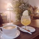 속초시외버스터미널 | [속초 카페] 속초 시외버스터미널 근처 카페 띠앗 내돈내산 솔직한 후기