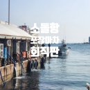 도깨비민박 | 강릉 소돌항 회 직판장 포장마차