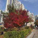 마포그랑자이부동산공인중개사사무소 이미지