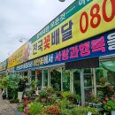 이안도매 이미지