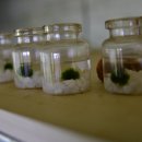 소마 새우농장 이미지