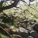 강학2리 이미지