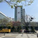 라크라센타(1) 이미지