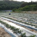 해은농장 이미지