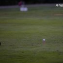 대하골프아카데미 이미지