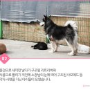 애니케어동물병원 이미지