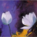 강승완 카카오 검색결과