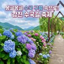 제4회 수국길 축제 : 보은산 브이랜드공원 방문 후기 &amp; 주차 정보부터 가는방법 등 축제 총정리 가이드...