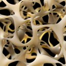 튼튼365정형외과의원 이미지