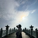 서귀포 천제연 관개수로 | 제주 중문 서귀포 볼거리추천 천제연폭포, 선암교 - 주차, 요금 정보