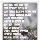 부효사 이미지