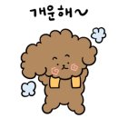 도니랑오리랑