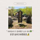 문경캠핑장 아이들이 더 좋아했던 숲속🌳 하루, 문경 숲이조아캠핑장🏕