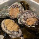 나는어부다 참전복 이미지