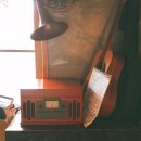 산들바람 한옥민박 | [제주도 게스트하우스 후기] 가공되지 않은 리얼 후기 :D 언니네 수족관, 꽃신 민박,1942게스트하우스