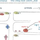 투명가방끈 다시 시작하는 모임, 2013년 10월 15일 저녁 7시30분부터 합정역 양철북출판사에서! 이미지