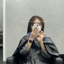 아르틴헤어 | 병점 아르틴헤어 히피펌 내돈내산 두달후기