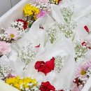 안식공원 이미지