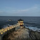 생생홍게소고기해장국 이미지