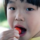 해도농장 이미지