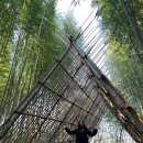 살구나무 한옥민박 이미지