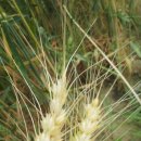 소영농장 이미지