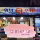 두툼한 회가 맛있는 원당 맛집 [원당회포차]