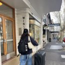 블루투스포츠 | 비너스 포츠 포인트(Venus Potts Point) 후기 (호주 워홀 시드니 임시 숙소 추천, 여성 전용 숙소 추천)