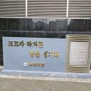 배재빌딩 Daum카페