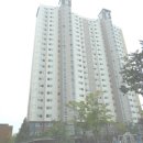 소로3-성남65 이미지