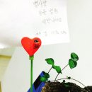 별사랑동물병원 이미지