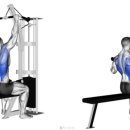 피트니스 에스 핏 이미지