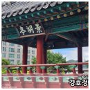 경호정 | 경호정 아름다운 음성 역사 관광지 여행