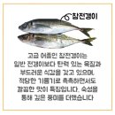 라라스시 - 송파구 올림픽로 130 | 라라스시