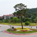 금오대로 도로변 네이버블로그