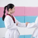수림효태권도장 이미지