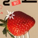 월간밀
