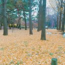 1-9호공원 이미지