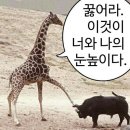 대박튀김족발