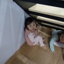 형제민박 이미지