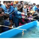 우림리무진과 떠나는 서천 쭈꾸미 축제 이미지