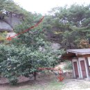 쌍용휴게소 이미지