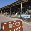 최참판댁소형주차장 | 하동 여행 가볼 만한 곳 [최참판댁] + 생태습지 [동정호 지방공원] 방문기!