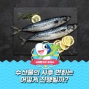 四字成語 총정리 <ㅅ> 107 사회통제~사후변화