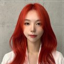 제시헤어 이미지