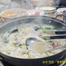 양촌바지락칼국수