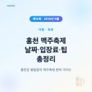강원드론시스템 | 2026 8월 여름 홍천강 별빛음악 맥주축제 일정 공연 가수 라인업 드론쇼까지